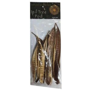 Natural Collection Ipil Tree Pods