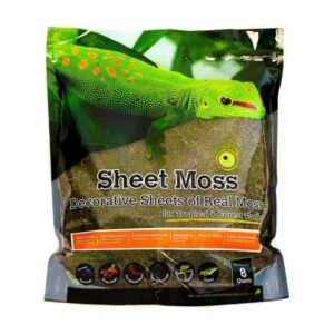 Galapagos Sheet Moss 8qt