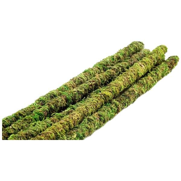 Galapagos Mossy Sticks 24" 2 Galapagos Mossy Sticks 24" - Image 2