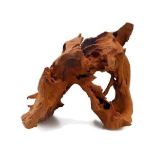 Mangrove Root XL 80-120cm