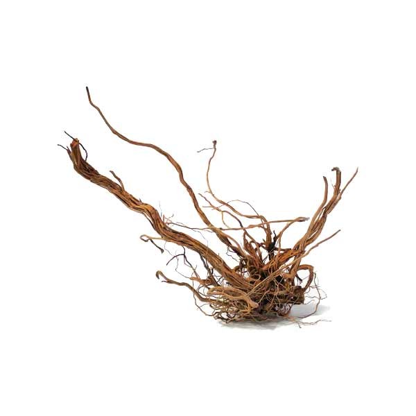 Twisted Vine Root L 1 Twisted Vine Root L