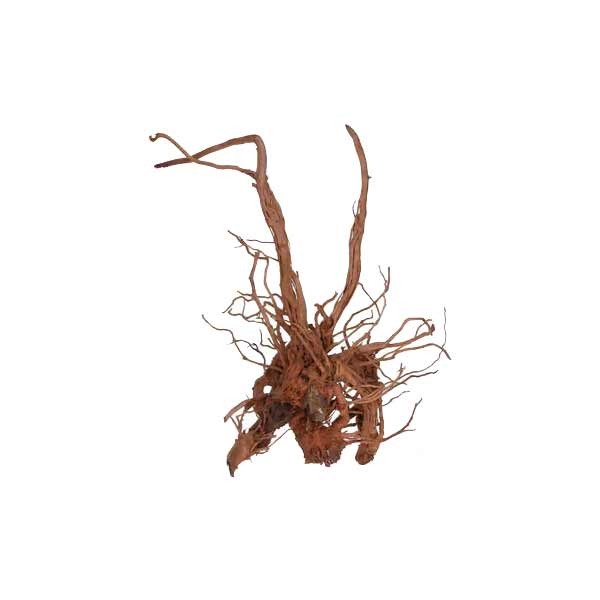 Twisted Vine Root XL 1 Twisted Vine Root XL