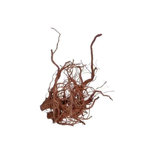 Twisted Vine Root XL 2 Twisted Vine Root XL - Image 2