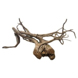 Rare Tree Root XL 50-80cm