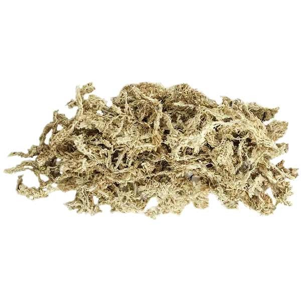 Galapagos Golden Sphagnum Moss Mini Bag 2 Galapagos Golden Sphagnum Moss Mini Bag - Image 2
