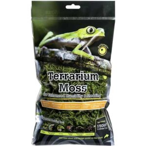 Galapagos Green Sphagnum Moss Mini Bag