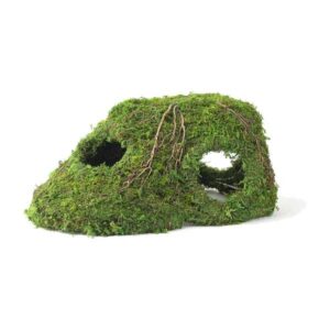 Galapagos Mossy Sapa Corner Hide