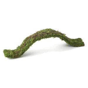 Galapagos Mossy Flexible Bridge 2ft