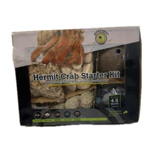 Galapagos Hermit Crab Starter Kit