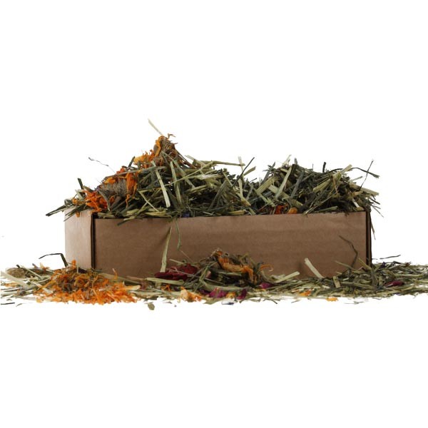 ProRep Tortoise Flower Foraging Tray 70g 2 ProRep Tortoise Flower Foraging Tray 70g - Image 2