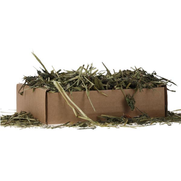 ProRep Tortoise Leaf Foraging Tray 70g 2 ProRep Tortoise Leaf Foraging Tray 70g - Image 2