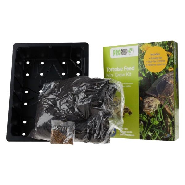 ProRep Tortoise Feed Mini Grow Kit 2 ProRep Tortoise Feed Mini Grow Kit - Image 2