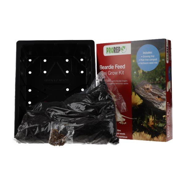 ProRep Beardie Feed Mini Grow Kit 2 ProRep Beardie Feed Mini Grow Kit - Image 2