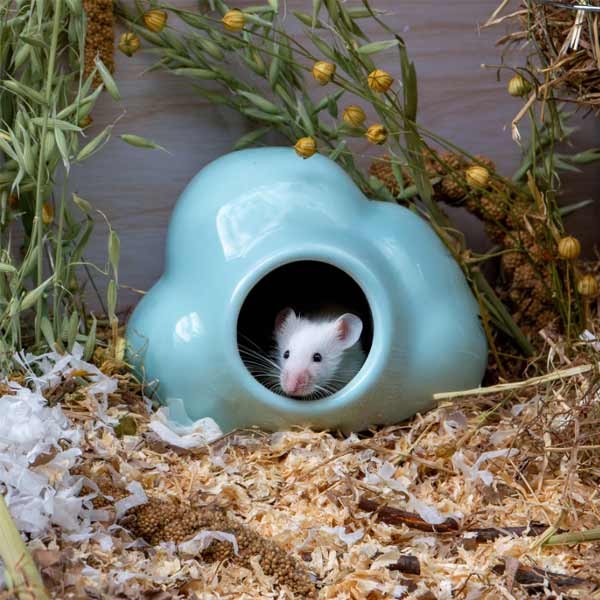 Burrow & Squeak Small Animal Cloud Hide 2 Burrow & Squeak Small Animal Cloud Hide - Image 2