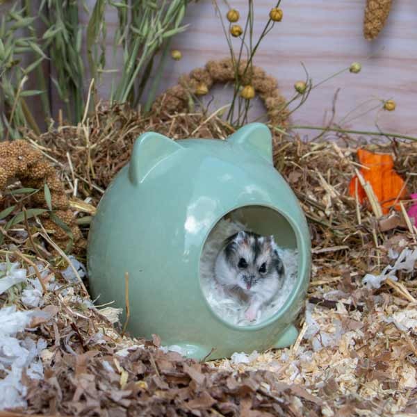 Burrow & Squeak Small Animal Cat Ear Hide 3 Burrow & Squeak Small Animal Cat Ear Hide - Image 3