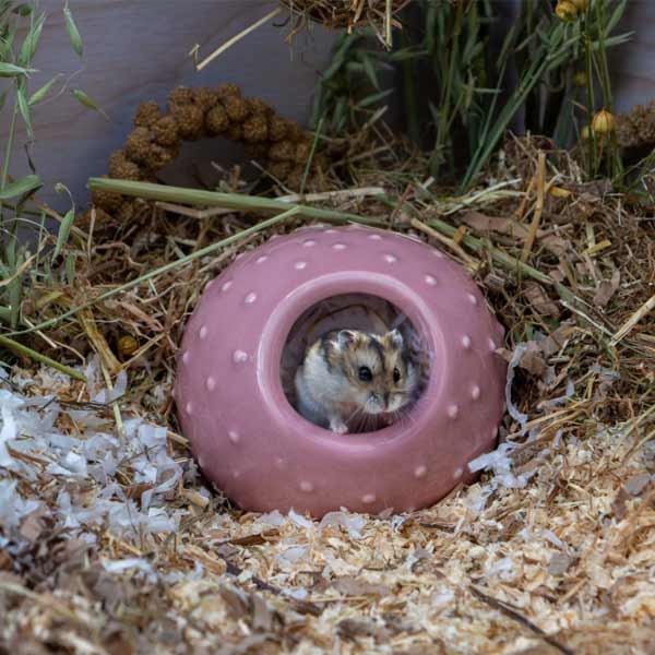 Burrow & Squeak Small Animal Bobble Hide 2 Burrow & Squeak Small Animal Bobble Hide - Image 2