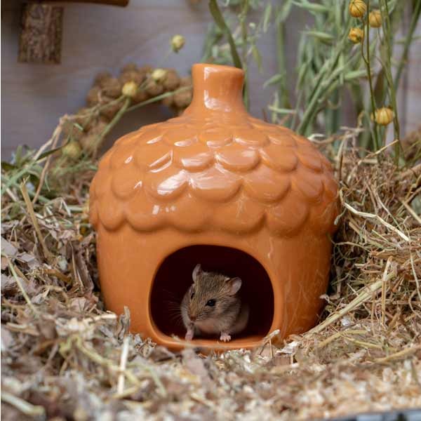 Burrow & Squeak Small Animal Acorn Hide 2 Burrow & Squeak Small Animal Acorn Hide - Image 2