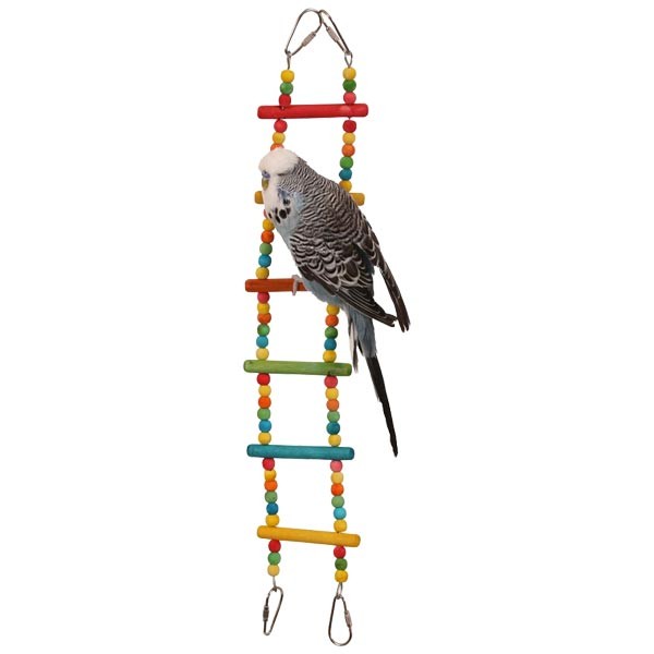 Northern Parrot Coloured Bendy Ladder Parrot Climbing Toy 2 Northern Parrot Coloured Bendy Ladder Parrot Climbing Toy - Image 2