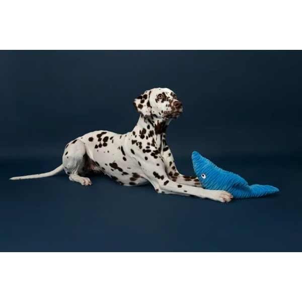 Animal Instincts Sustainables Sea Life Crumpled Shark 2 Animal Instincts Sustainables Sea Life Crumpled Shark - Image 2