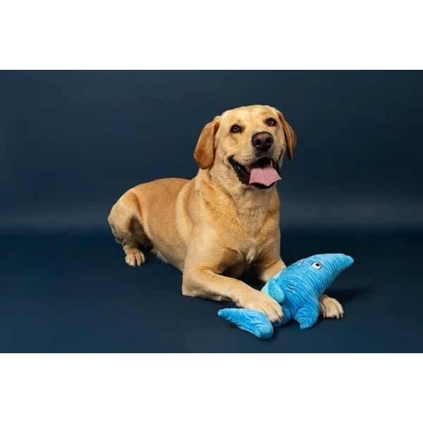 Animal Instincts Sustainables Sea Life Crumpled Shark 3 Animal Instincts Sustainables Sea Life Crumpled Shark - Image 3