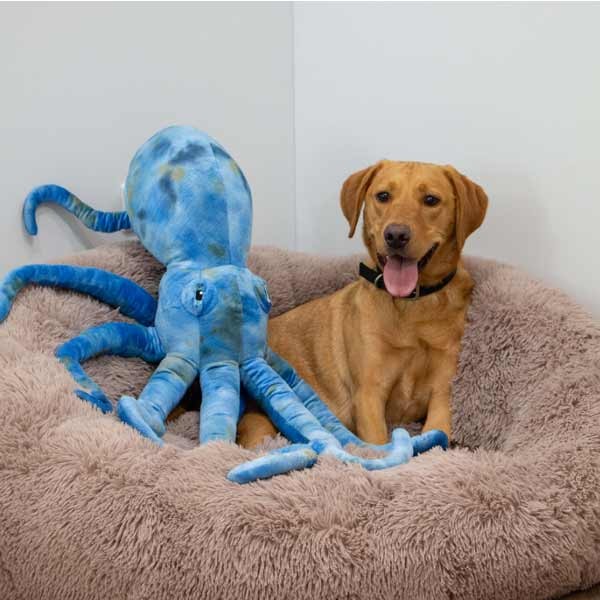 Ancol Playtime Cuddle Giant Phil the Kraken 2 Ancol Playtime Cuddle Giant Phil the Kraken - Image 2