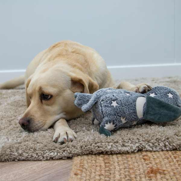 Ancol Playtime Cuddle Owen The Owl 2 Ancol Playtime Cuddle Owen The Owl - Image 2