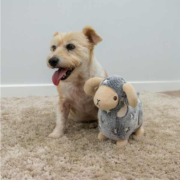Ancol Playtime Cuddle Sheila The Sheep 3 Ancol Playtime Cuddle Sheila The Sheep - Image 3