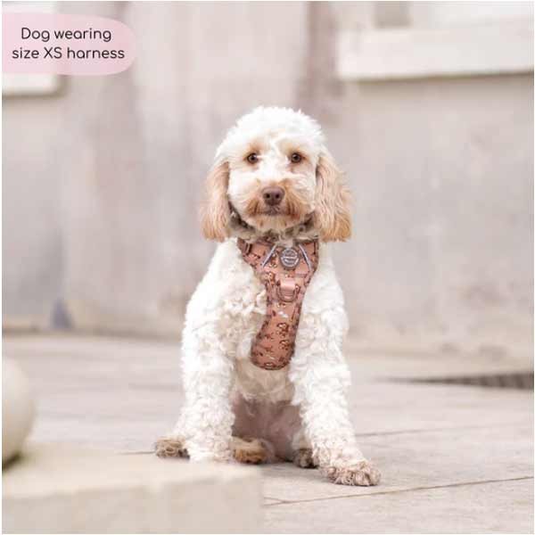 Disney© Tough Trails Slinky X-Small Harness 3 Disney© Tough Trails Slinky X-Small Harness - Image 3