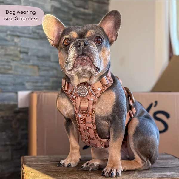 Disney© Tough Trails Slinky Small Harness 3 Disney© Tough Trails Slinky Small Harness - Image 3