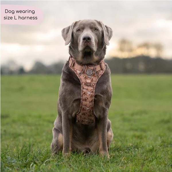 Disney© Tough Trails Slinky Large Harness 3 Disney© Tough Trails Slinky Large Harness - Image 3