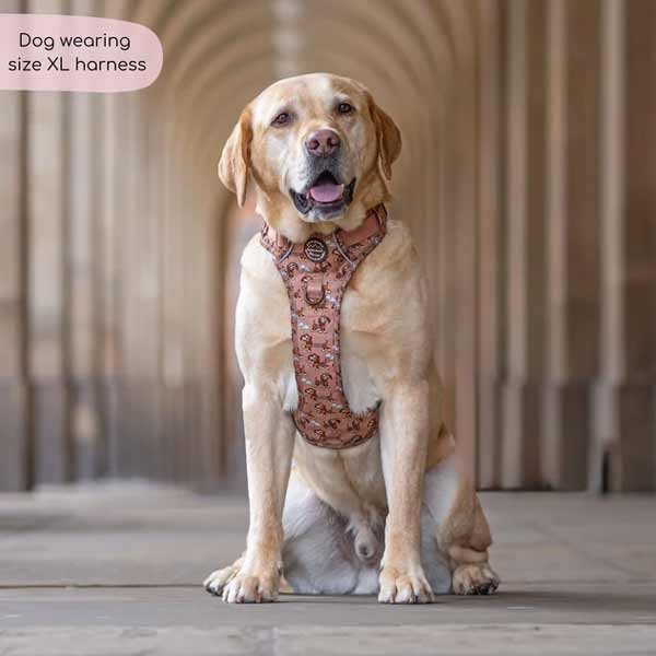Disney© Tough Trails Slinky X-Large Harness 3 Disney© Tough Trails Slinky X-Large Harness - Image 3