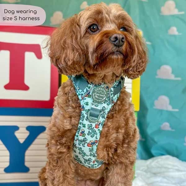 Disney© Tough Trails Rex Small Harness 3 Disney© Tough Trails Rex Small Harness - Image 3