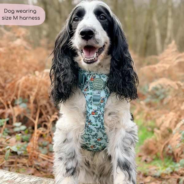 Disney© Tough Trails Rex Medium Harness 3 Disney© Tough Trails Rex Medium Harness - Image 3