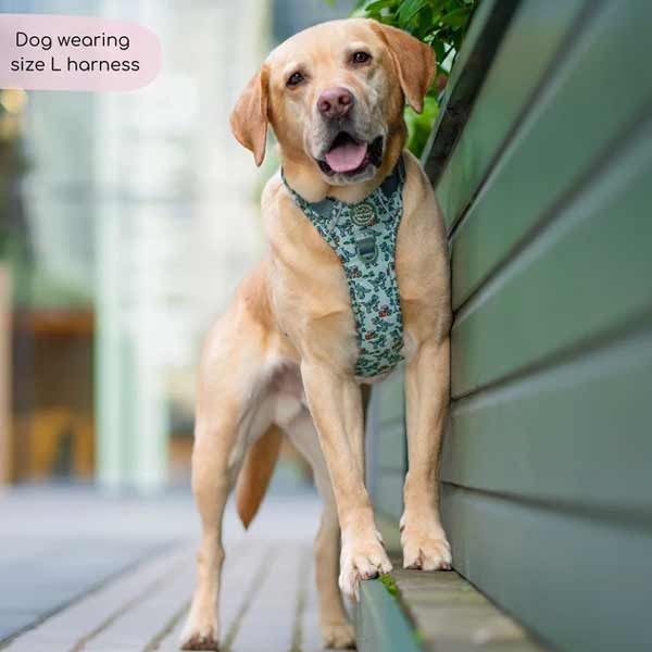 Disney© Tough Trails Rex Large Harness 3 Disney© Tough Trails Rex Large Harness - Image 3