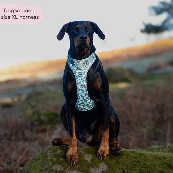 Disney© Tough Trails Rex X-Large Harness 3 Disney© Tough Trails Rex X-Large Harness - Image 3