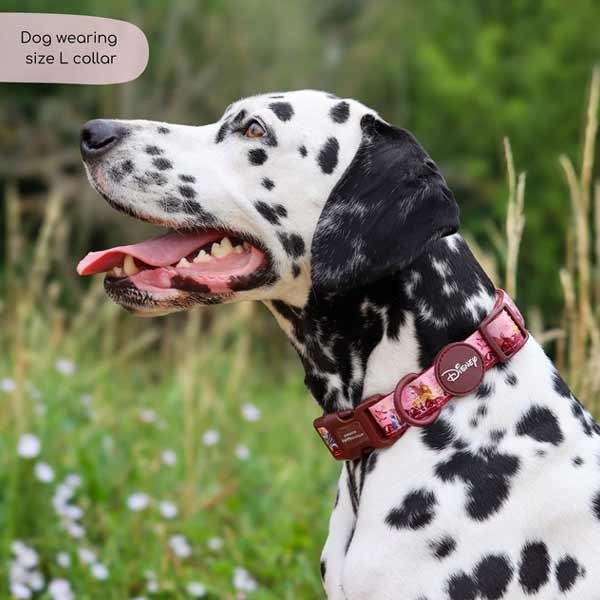 Disney© Lion King Sunset Safari Collar - Medium 2 Disney© Lion King Sunset Safari Collar - Medium - Image 2