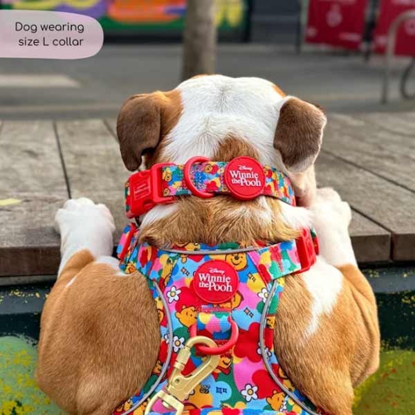 Disney© Retro Winnie Collar - Small 2 Disney© Retro Winnie Collar - Small - Image 2