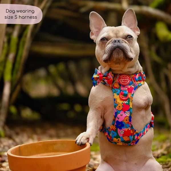Disney© Tough Trails Retro Winnie Small Harness 3 Disney© Tough Trails Retro Winnie Small Harness - Image 3
