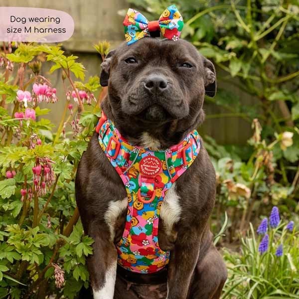 Disney© Tough Trails Retro Winnie Medium Harness 3 Disney© Tough Trails Retro Winnie Medium Harness - Image 3