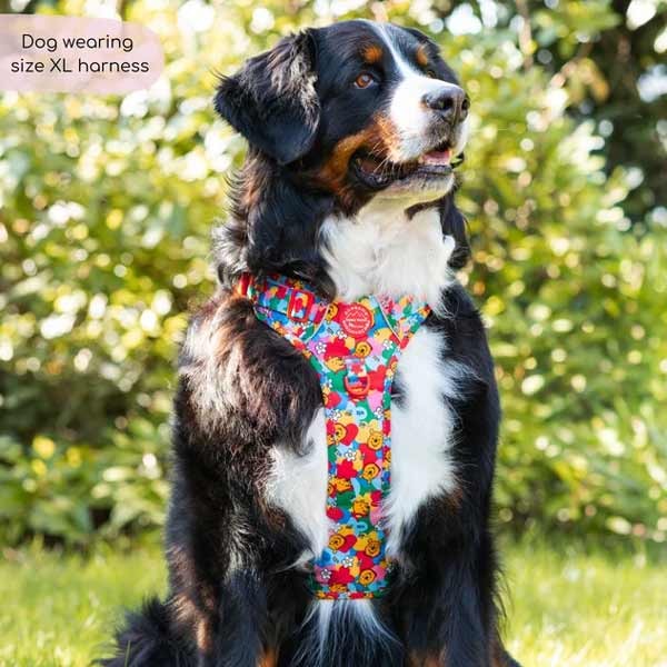 Disney© Tough Trails Retro Winnie X-Large Harness 3 Disney© Tough Trails Retro Winnie X-Large Harness - Image 3