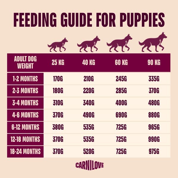 Carnilove Active Junior Large Breed Salmon & Turkey 1.5kg Dry Dog Food 3 Carnilove Active Junior Large Breed Salmon & Turkey 1.5kg Dry Dog Food - Image 3