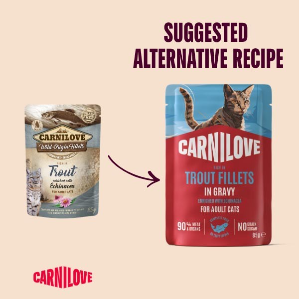 Carnilove Trout with Echinacea 85g Pouch Wet Cat Food 2 Carnilove Trout with Echinacea 85g Pouch Wet Cat Food - Image 2