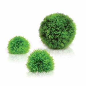 biOrb Topiary Moss Ball 3 Pack