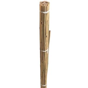 Grow It Bamboo CanesPre-Bulk 90cm 20 Pack