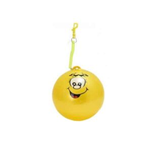 Fruity Smelly Ball With Keyring