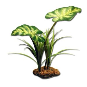 Komodo Broadleaf Canopy