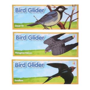Bird Glider