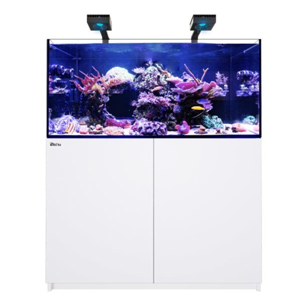 Red Sea Reefer G2+ 350 White Deluxe Aquarium Kit