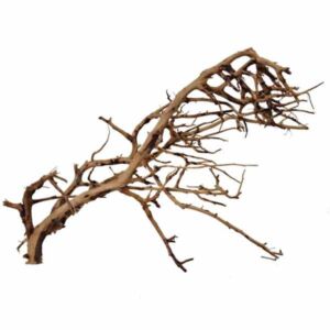 Hugo Kamishi Ramous Wood (20-30cm)