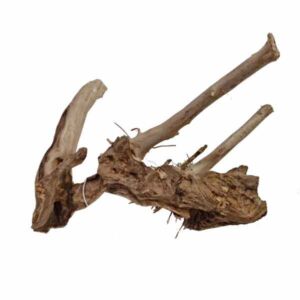 Hugo Kamishi Shinrin Yoku Wood Small (10-23cm)